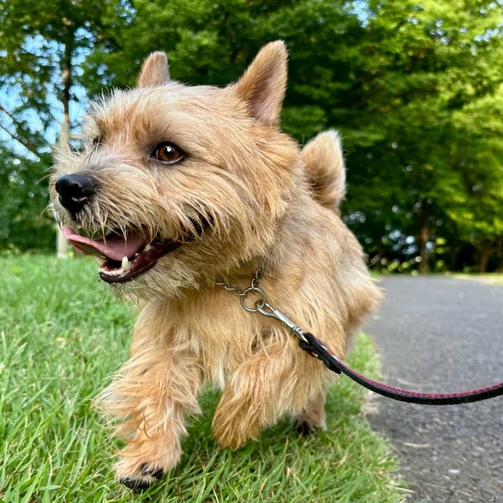 Ab95c3d6 975a 486c 9a88 cf9c5c6768be 1753231658888