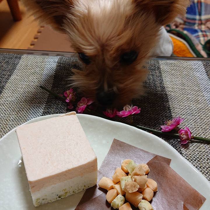 Ab95ef2a 2311 4f77 903f e8f6360cb792 1582969662171