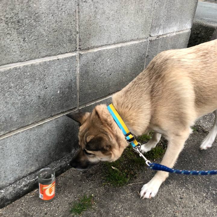 Ab9629f0 b473 41a9 8282 ad809ea346c7 1550144902988