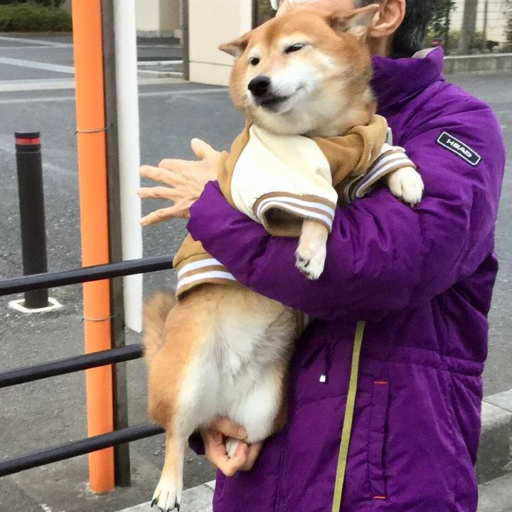 Ab963277 c4f0 4d44 a2ce 57bb3afe8a05 1578726910817