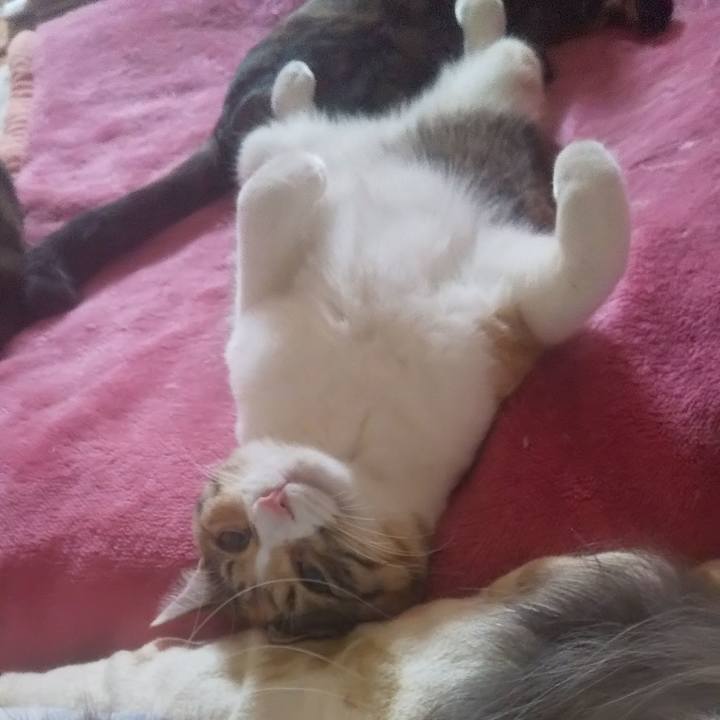 Ab9636f6 2a55 45f9 b155 967030da166c 1741324746549