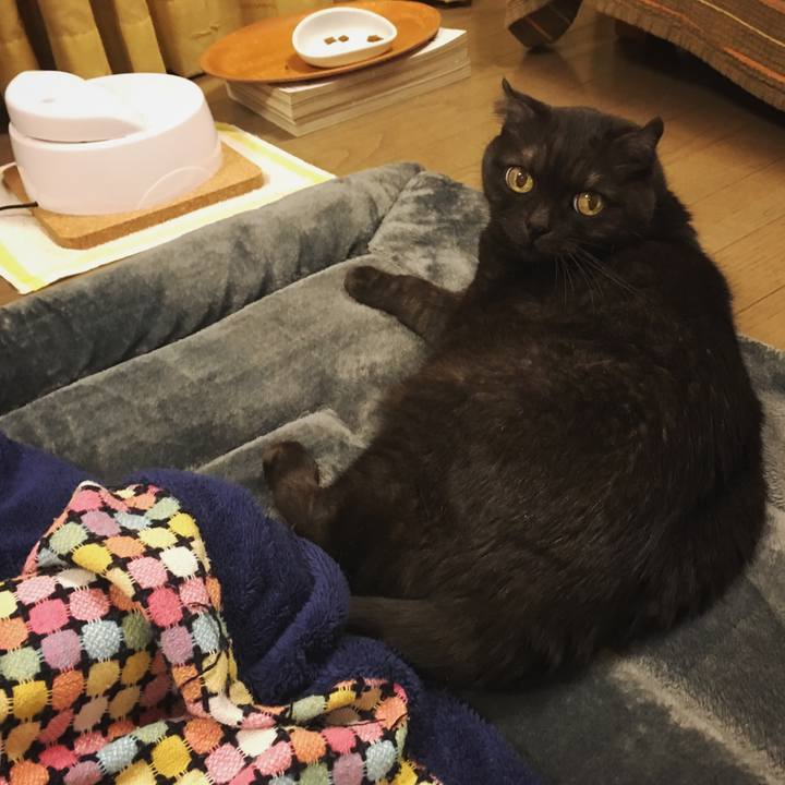 Ab964a73 6005 49dc 8da9 5035b6056ebe 1543322503565