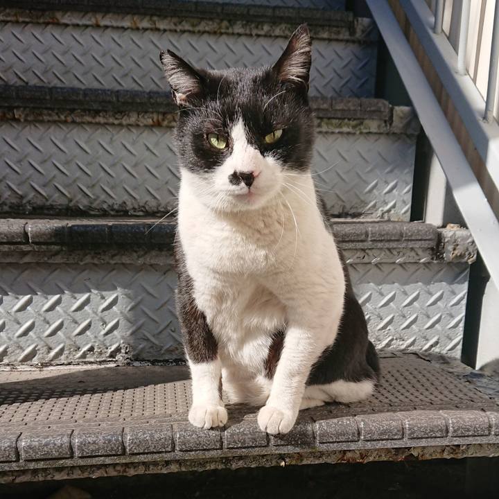 Ab967f7e 9ed4 461c a20f 0f0849480ec4 1547865841909