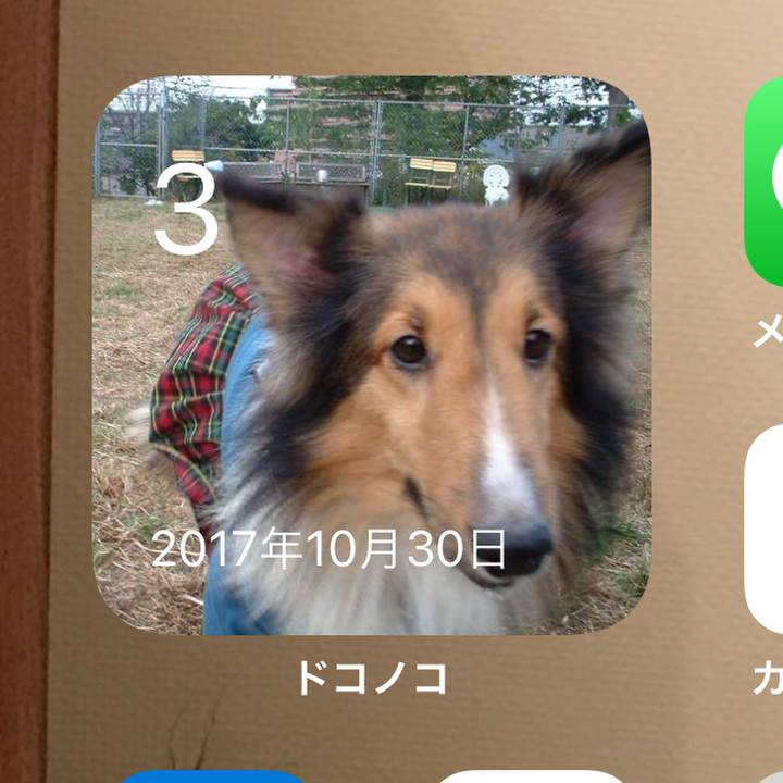 Ab9683c8 7878 4e5f 8aaf 146cb65beaba 1635946117834