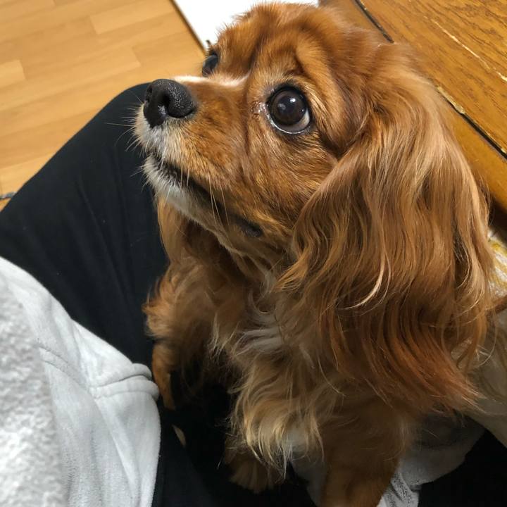 Ab969ac3 7931 4891 9810 2014cdc603cf 1607377999145