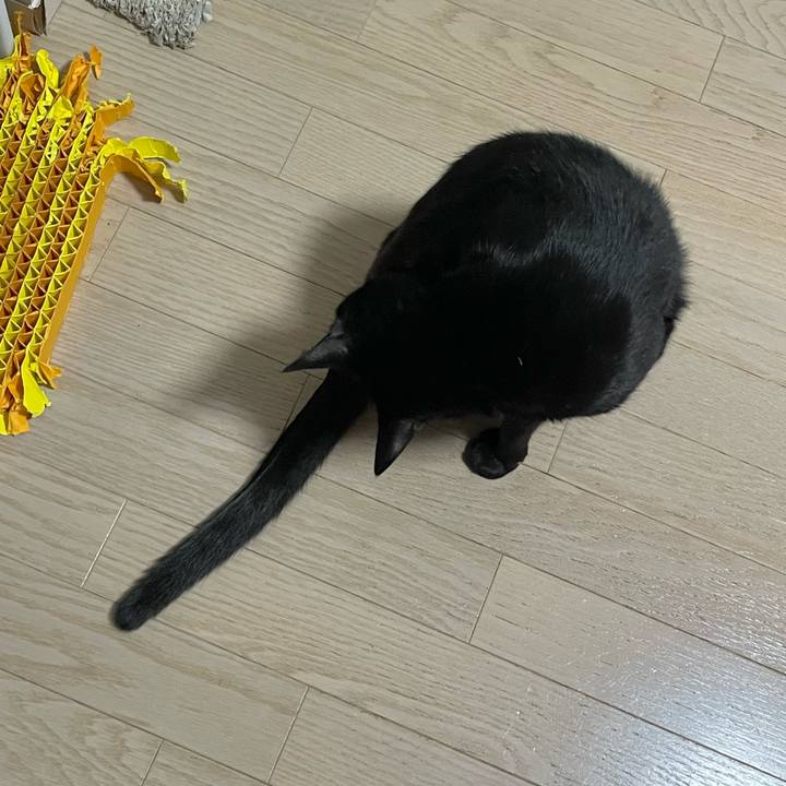 Ab96e593 e1f8 4ed6 88ed b7406ef0b57b 1764073170931