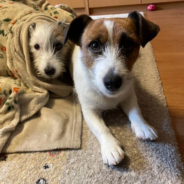 Ab973dcd dfd5 4a04 a31c 05215d2a52dc 1705381080344