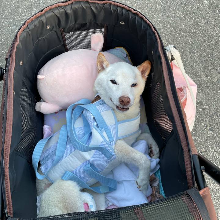 Ab974cfb 7bfa 44b8 86da c64f8b4dc699 1664711065097