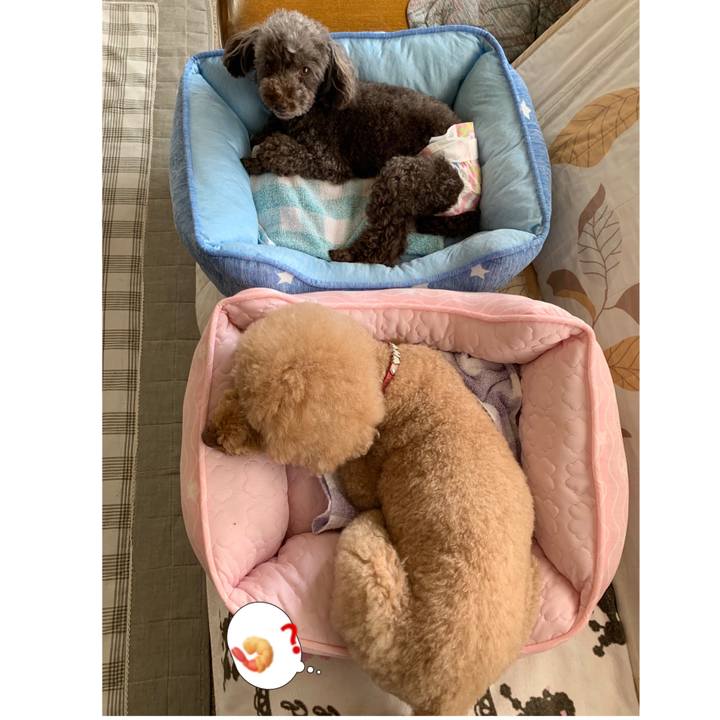 Ab976bbd c872 4415 9763 2dadc9e1145e 1567816554561