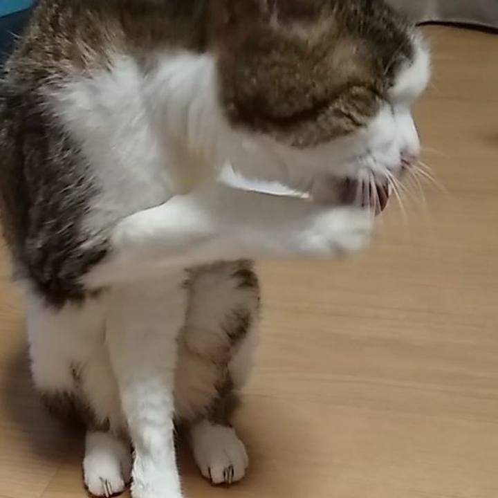 Ab978433 9bf8 4106 973f e960b22dc1e8 1568556475049