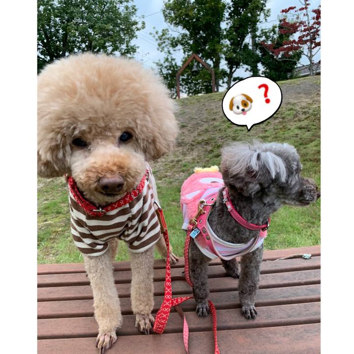 Ab97a2d2 4fb8 4fa9 8dd5 3ee4180417b6 1603963372658