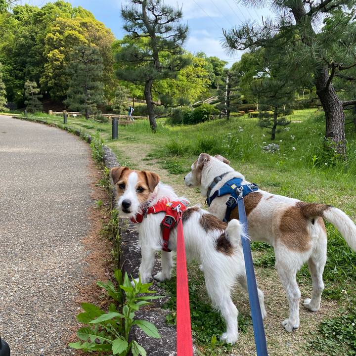 Ab97c0a4 afa1 41c8 9dae 6fad68142c82 1651743260888