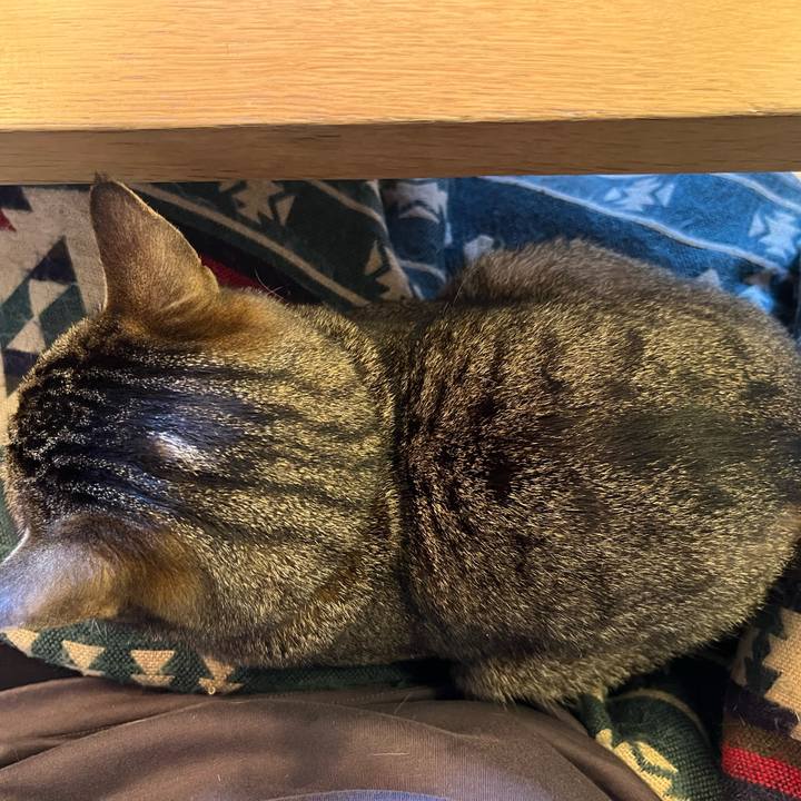 Ab97d774 5ad9 4099 94a2 abe93e6b4c3b 1773283645126