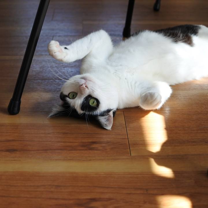 Ab97e568 a031 43b5 9cb8 d14b6d15858f 1525075125887