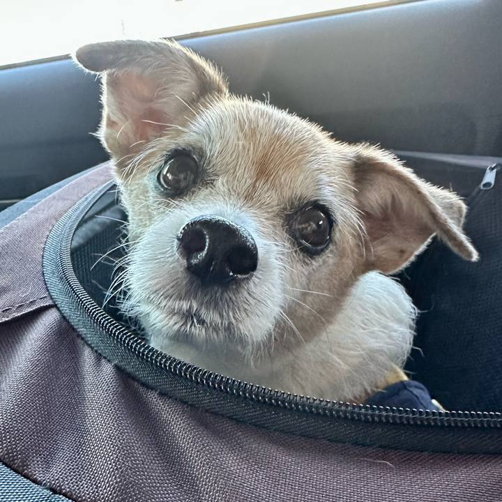 Ab981789 a9b2 43bc 9f99 dc5bb90c87a0 1672137306379