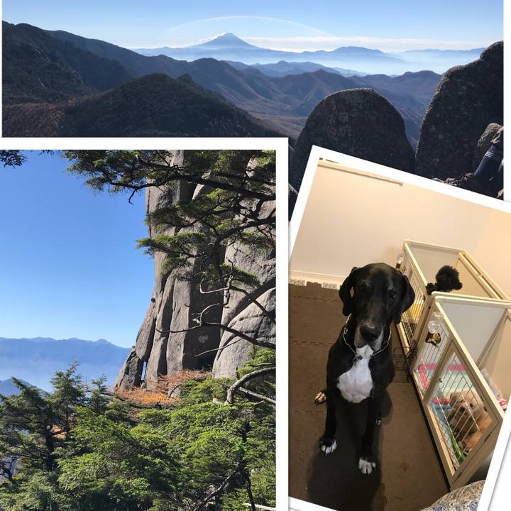 Ab98212b a48d 48e6 943f 00112ad252cd 1509857524921