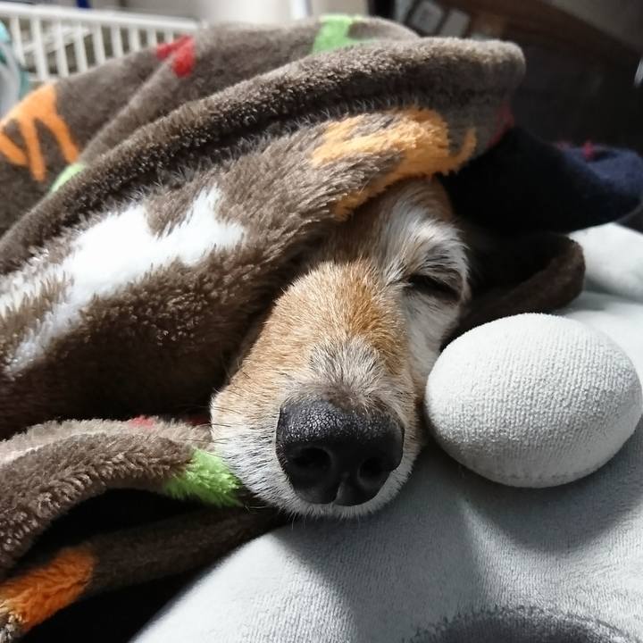 Ab984814 0858 4151 b66d 50025cde6aa2 1516316538427