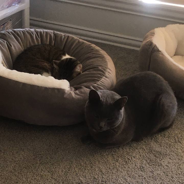 Ab986e50 e2bf 4900 9c52 eac6786e8b12 1645497819785