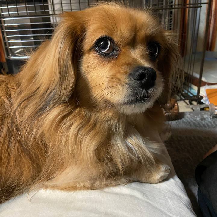 Ab988fe8 f96c 41a2 b9c4 882656483c10 1639691040394