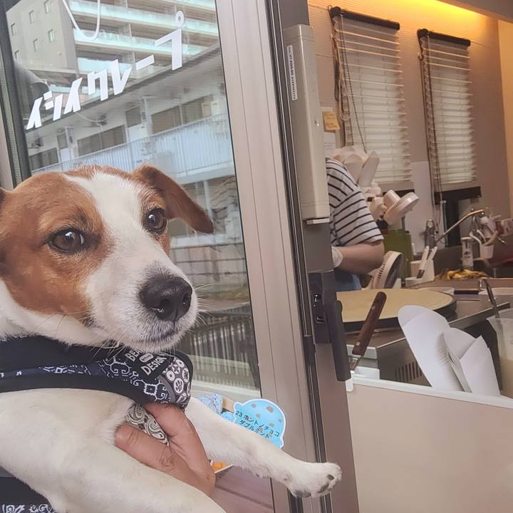 Ab989cae 5db4 495b 8cfa 0ae4610b6c17 1714991389927