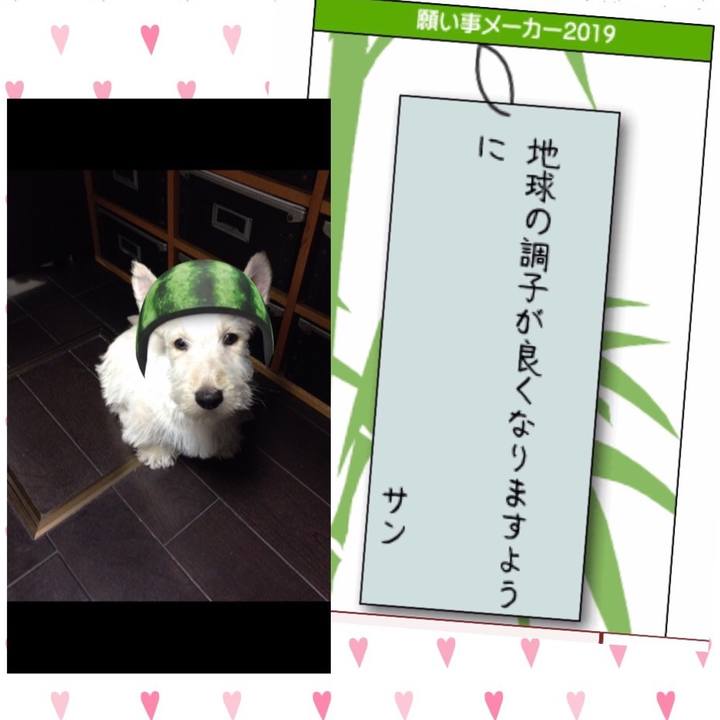 Ab98b3e7 a7d5 45f8 a25b 5115493dfd2a 1563412307553