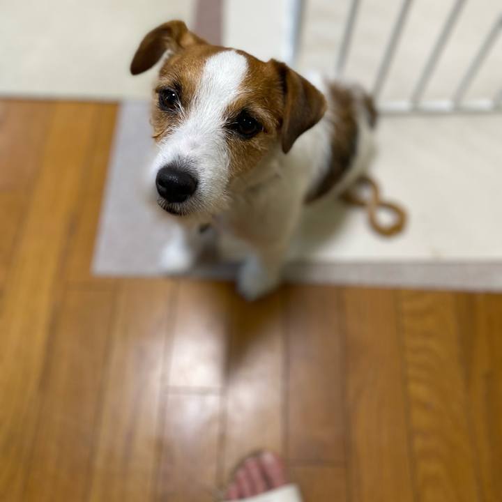 Ab98f5da 19dc 42ec b8e7 cf7920101a82 1757370122969