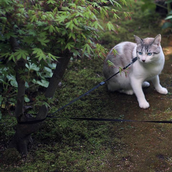 Ab98f98e b5f0 4ba4 9da3 529033196930 1635644250632