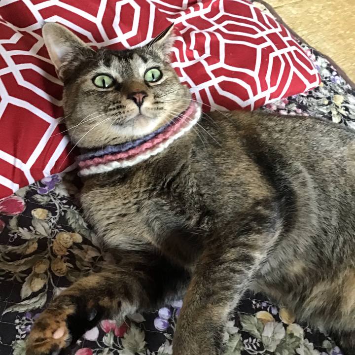 Ab990bb4 9c6c 49b5 8ceb 18dce1d59614 1619076651507