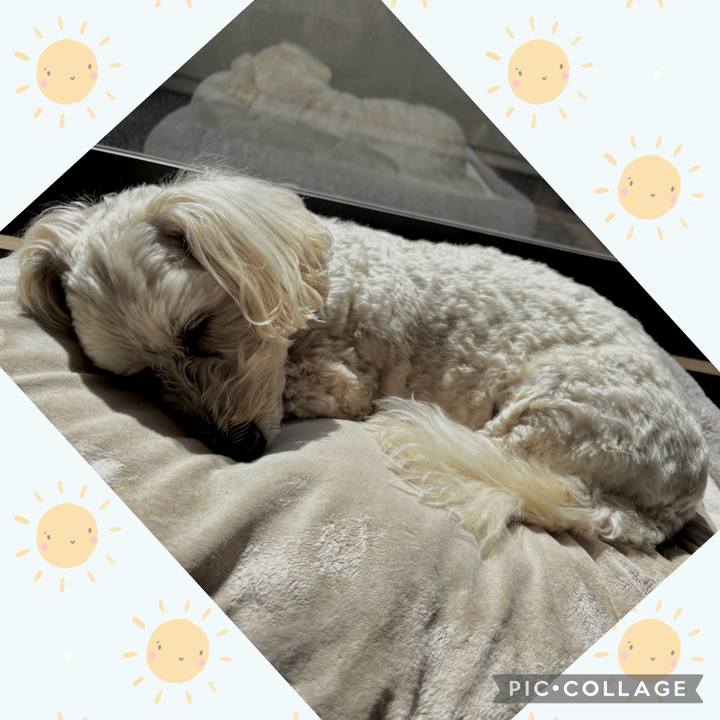 Ab990da2 9bf2 4046 9eca 119835254310 1772676827726