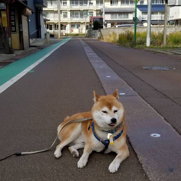 Ab991ea1 59bf 4cc3 829a bccc1488e188 1542345702714