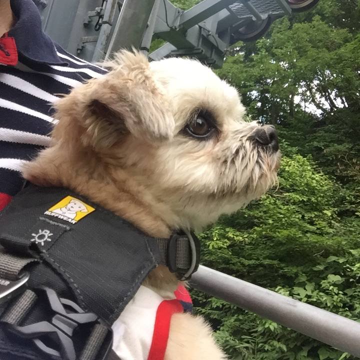 Ab992c14 e964 4732 8adc 49b30d134e33 1566703144443