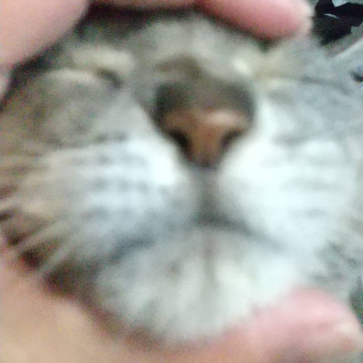 Ab996cc8 a4bd 4882 9f16 288b3a7e1470 1670016611554