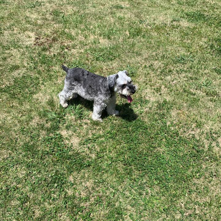 Ab996d64 e1e9 4571 acdd 03da5ccd2972 1620531152242