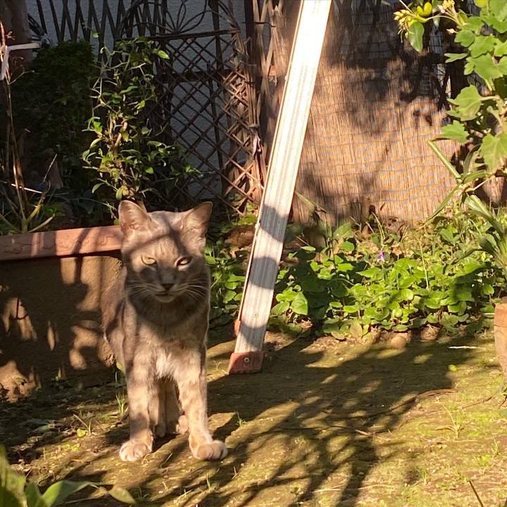 Ab998056 7cce 4c1c 9df1 09f35c40e0e9 1604152203472