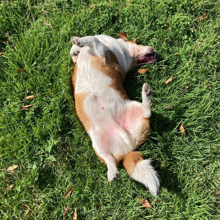 Ab99b3e0 8588 48a5 9874 db5d23460d0f 1760059583483