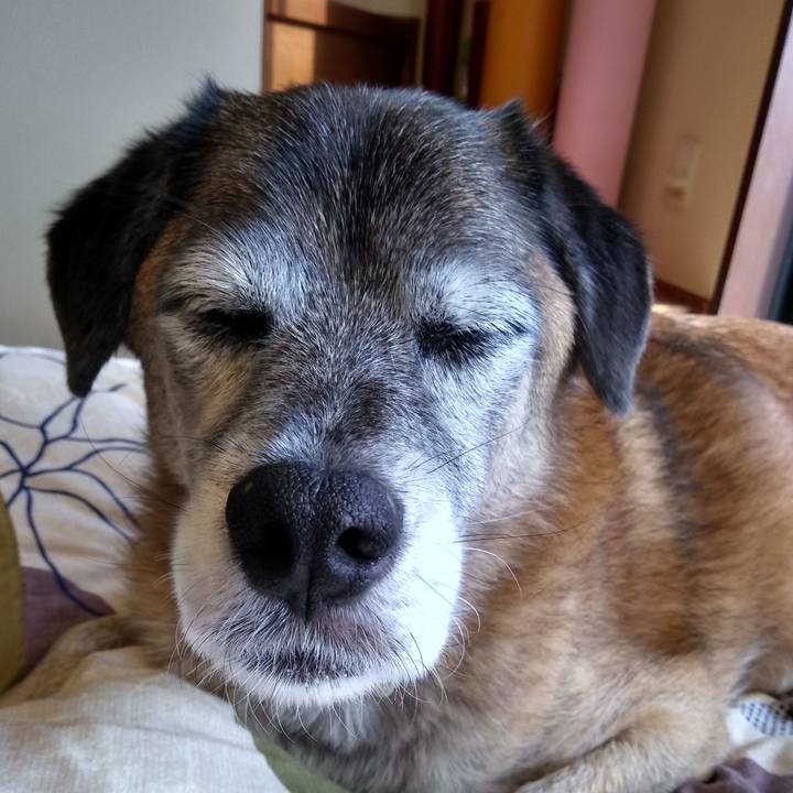 Ab99ccb3 acd7 4882 811c b30664a906a4 1574137358169