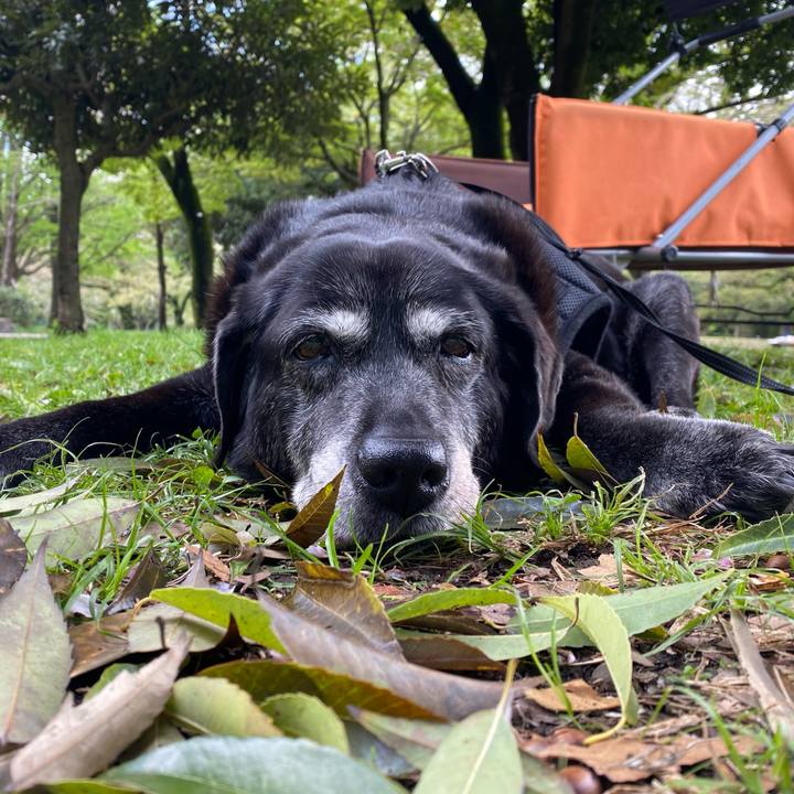 Ab99d4cb db07 46b0 b4c0 8c173e0d5713 1744596310335