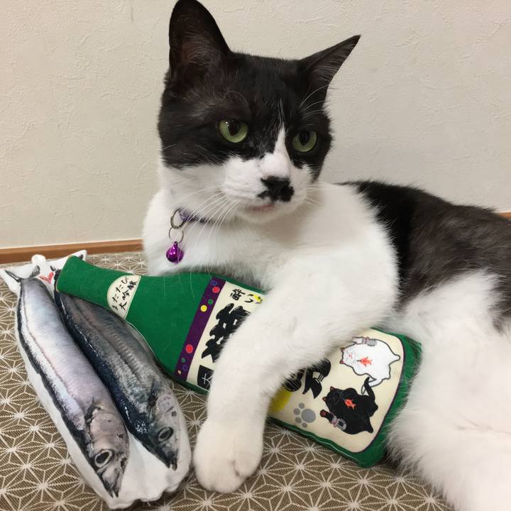 Ab9a38b7 c27e 4e03 a074 cc5afa5a21b2 1556591798045