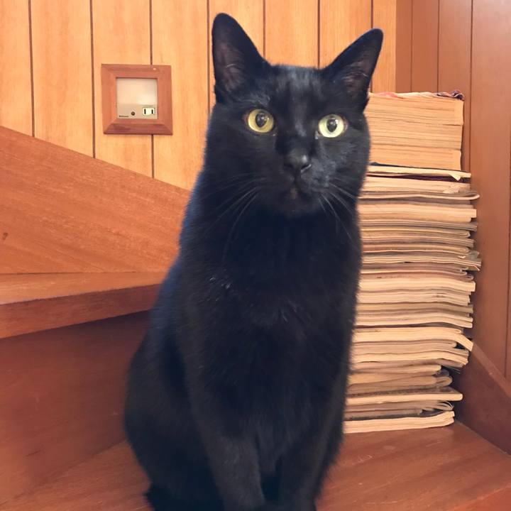 Ab9a3b9b 2671 4fc1 8e11 b13bcbcb4092 1510361303193