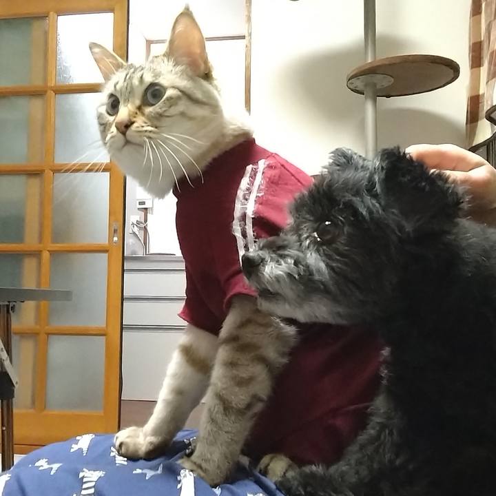 Ab9a41b4 a508 4e89 a02f b4292bf324f0 1688397760336