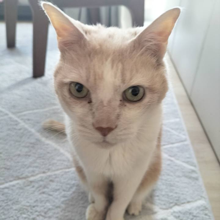 Ab9a4a39 f9e9 4f05 a794 e409a1aa2a12 1710368869692