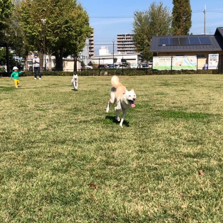 Ab9a76a3 50db 4a81 b080 ea491649887a 1540544078893