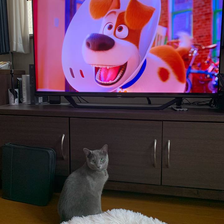 Ab9a8ff4 51cc 48e4 9eed a4f0413021f2 1599961697799