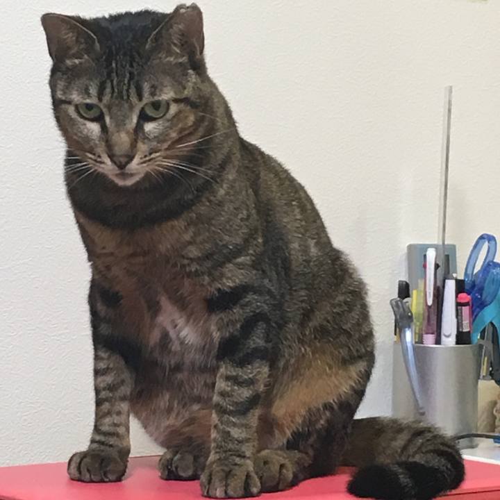 Ab9aab84 7c33 470f a173 1846e9956091 1521639177868