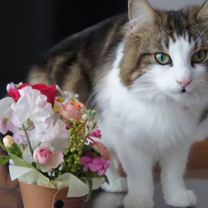 Ab9af3f8 0a36 4ca5 86ee 780450f0a14a 1516005229652