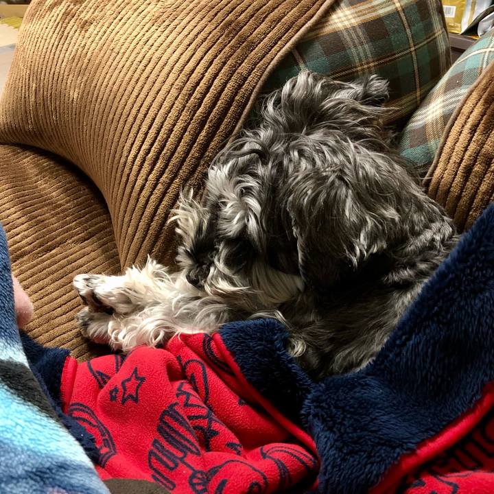 Ab9af67c 31a7 4044 9894 7a77462a8374 1636810074154