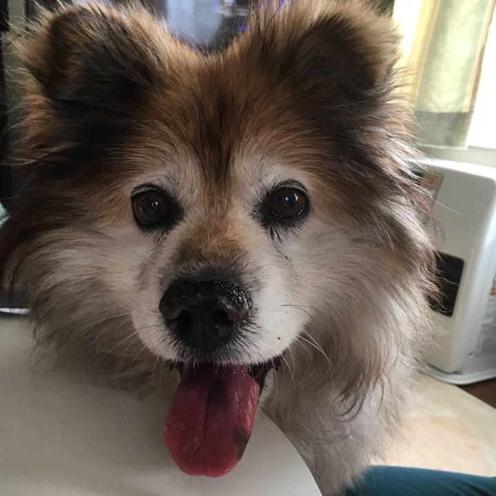 Ab9afaf0 5172 4018 909d 6f3556eae504 1553123130768