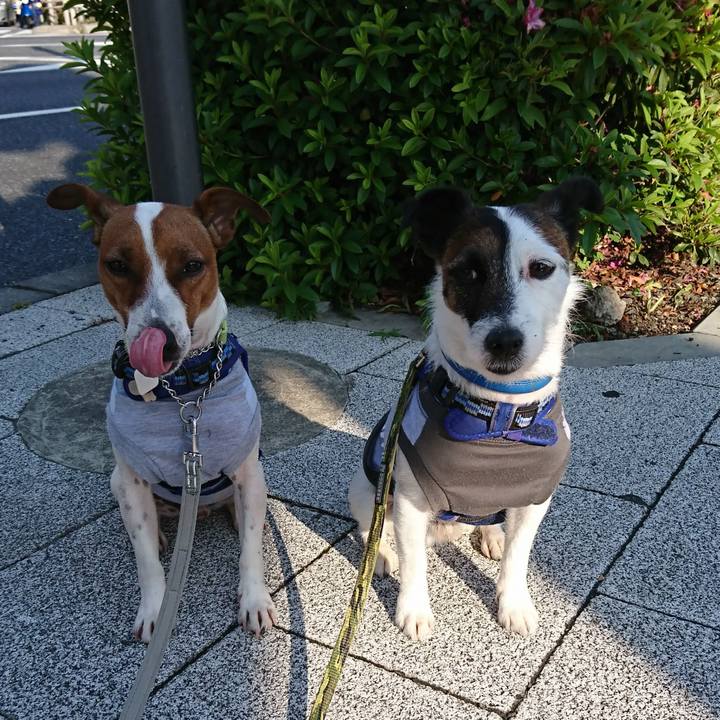 Ab9b9b61 2e2b 4708 8dfb b4d30eac0bc0 1558649651258