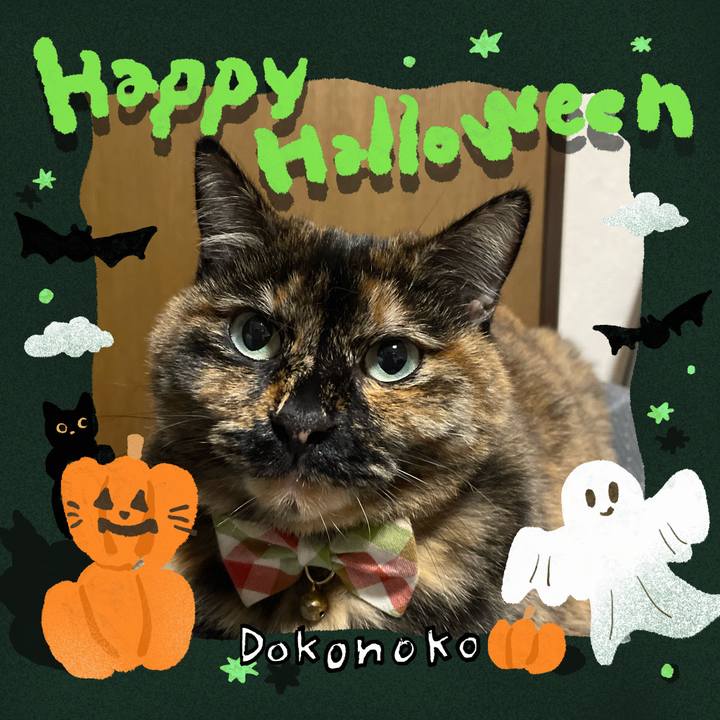 Ab9bc3ec 1c24 4e19 b295 3f7d399ea622 1730385315946