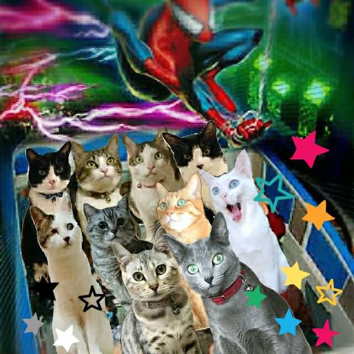 Ab9c0000 e66a 4b25 bb18 fd154043f5c4 1529217181572